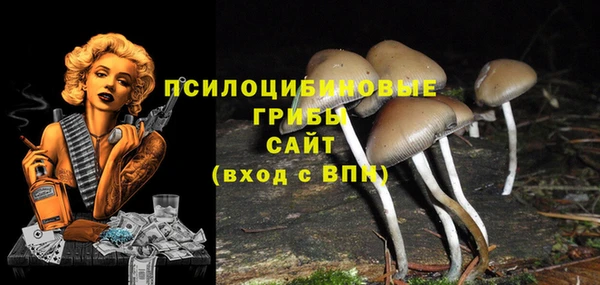 jwh Белая Холуница