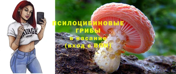 мдпв Бежецк