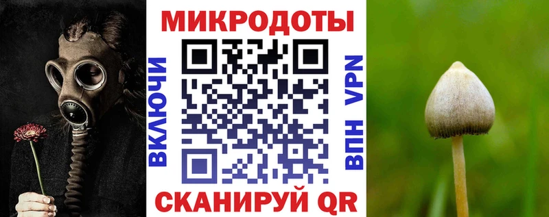 Псилоцибиновые грибы Cubensis  Куровское 